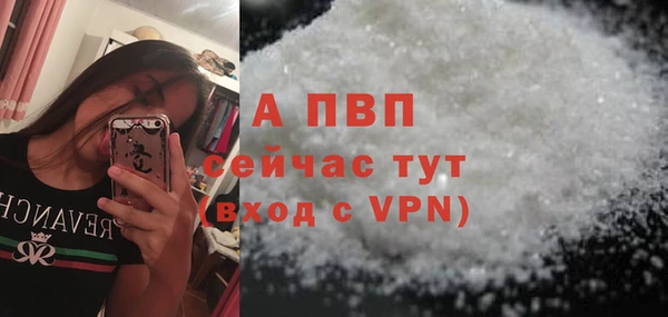 Альфа ПВП Новозыбков