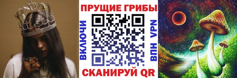 Галлюциногенные грибы Psilocybine cubensis  Подпорожье 